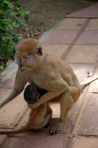 DSC_0656.JPG - Ou en famille.