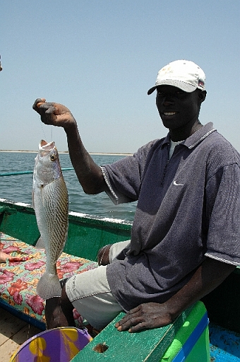 DSC_0828.JPG - Belle Ombrine p�ch�e par Eddy...